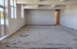 Spatiu Comercial 