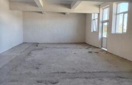 Spatiu Comercial 