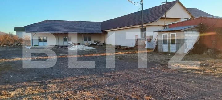 Spațiu industrial de vânzare Nord-Vest - 171168SVI | BLITZ Târgoviște | Poza6