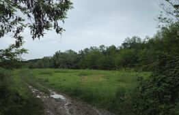 Teren Intravilan de vanzare, în Exclusivitate, Fără Comision la Achiziție