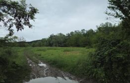 Teren Intravilan de vanzare, în Exclusivitate, Fără Comision la Achiziție