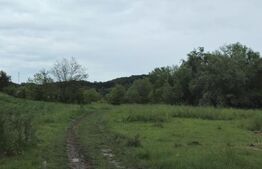 Teren Intravilan de vanzare, în Exclusivitate, Fără Comision la Achiziție