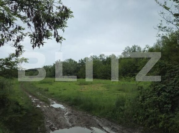 Teren de vânzare Exterior Vest - 171468TV | BLITZ Târgoviște | Poza6