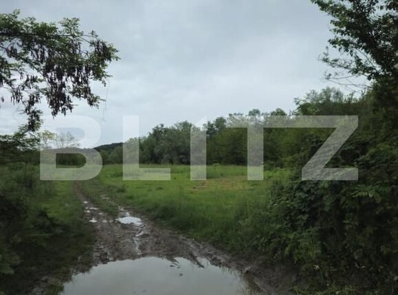 Teren de vânzare Exterior Vest - 171468TV | BLITZ Târgoviște | Poza5