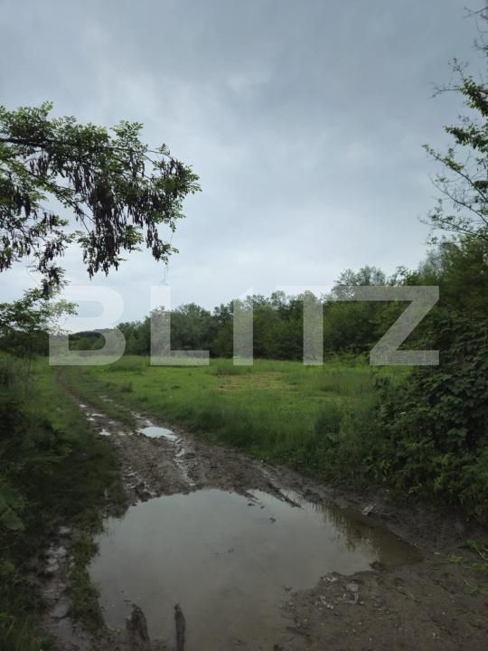 Teren de vânzare Exterior Vest - 171468TV | BLITZ Târgoviște | Poza6