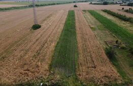 Teren de Vanzare in Razvad-Oportunitate Excelenta!