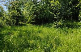 Teren intravilan Pietrosita