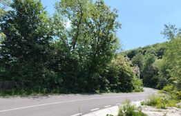 Teren intravilan Pietrosita