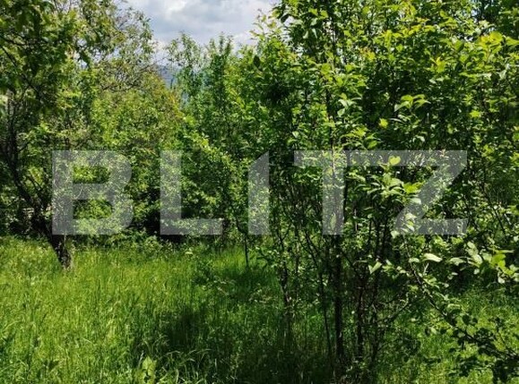 Teren de vânzare Pietrosita - 171683TV | BLITZ Târgoviște | Poza4