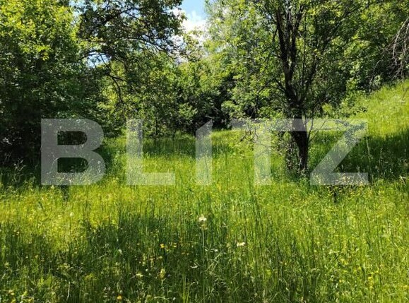 Teren de vânzare Pietrosita - 171683TV | BLITZ Târgoviște | Poza3