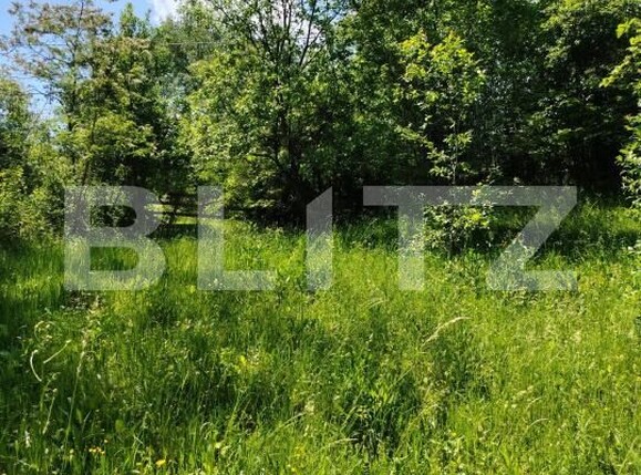 Teren de vânzare Pietrosita - 171683TV | BLITZ Târgoviște | Poza2