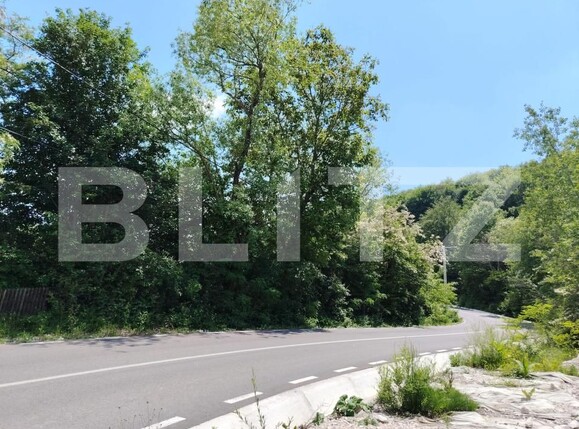 Teren de vânzare Pietrosita - 171683TV | BLITZ Târgoviște | Poza1