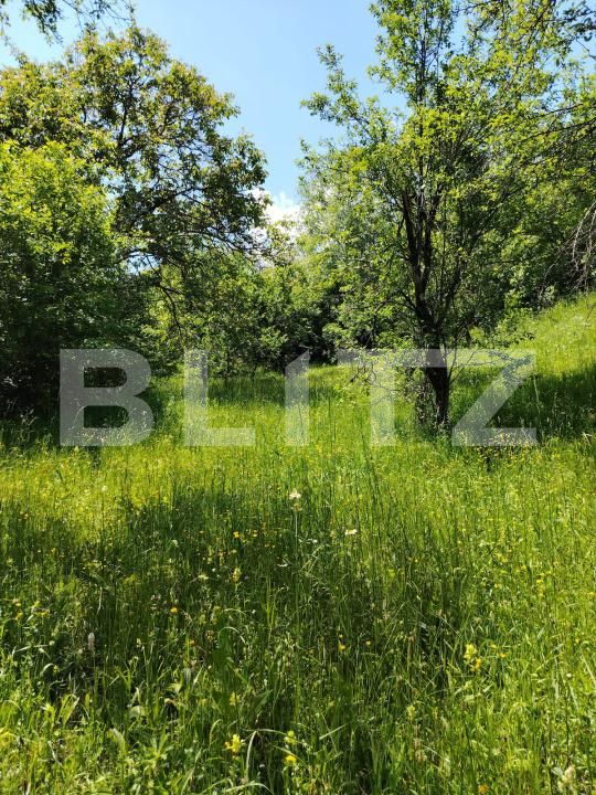 Teren de vânzare Pietrosita - 171683TV | BLITZ Târgoviște | Poza3