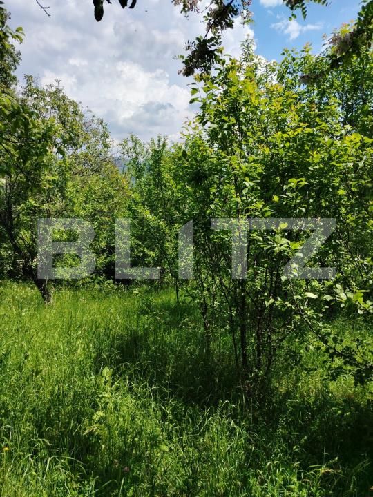 Teren de vânzare Pietrosita - 171683TV | BLITZ Târgoviște | Poza4