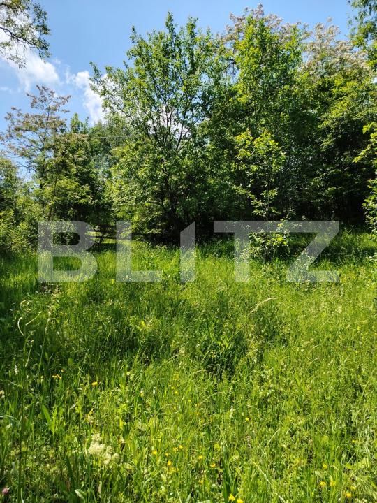 Teren de vânzare Pietrosita - 171683TV | BLITZ Târgoviște | Poza2