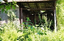 Casa batraneasca demolabila