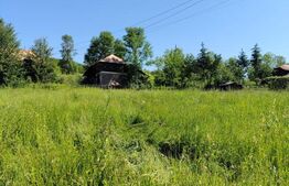 Casa batraneasca demolabila