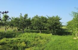 Casă de vanzare, cu 3 camere, 100 mp, zona Rancaciov