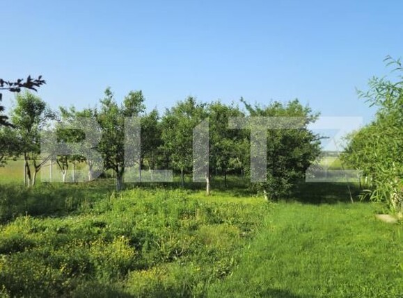 Casa de vânzare 3 camere Exterior Est - 172276CV | BLITZ Târgoviște | Poza23