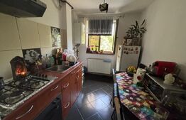 Apartament de vanzare, cu 2 camere, 46 mp, zona Al. Trandafirilor