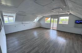 Spatiu birouri de vanzare in Viforata