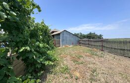 Oportunitate de achiziție – Casă tradițională, ideală pentru viața la țară!