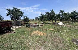 Oportunitate de achiziție – Casă tradițională, ideală pentru viața la țară!