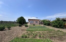 Teren 2300 mp cu 2 case (1970), 2 km de A1— ideal reconversie/agricultură
