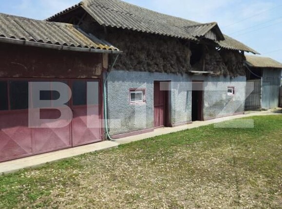 Casa de vânzare 5 camere Exterior Sud - 172778CV | BLITZ Târgoviște | Poza8