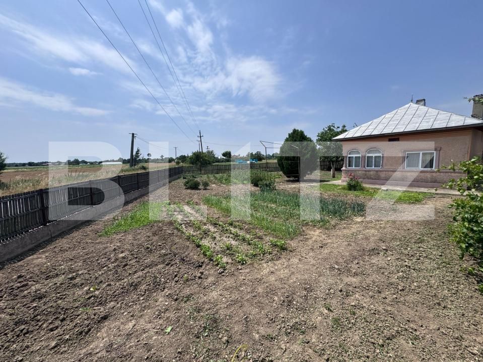 Casa de vânzare 5 camere Exterior Sud - 172778CV | BLITZ Târgoviște | Poza22