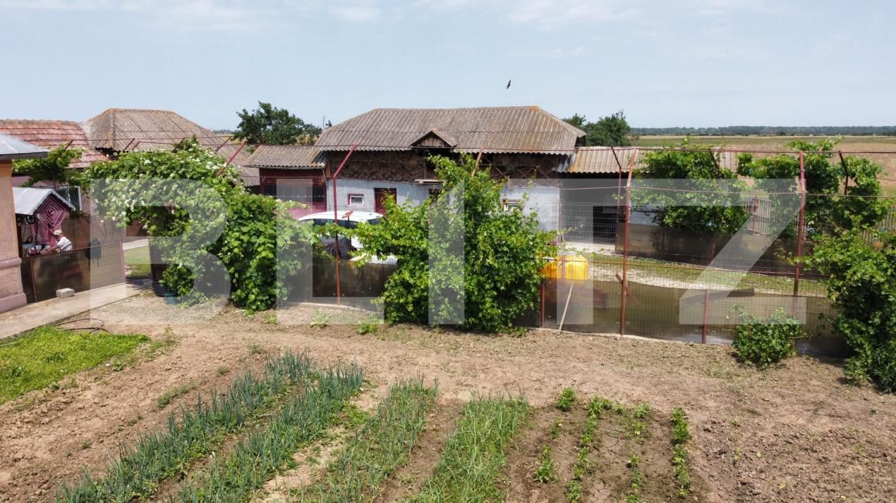 Casa de vânzare 5 camere Exterior Sud - 172778CV | BLITZ Târgoviște | Poza5