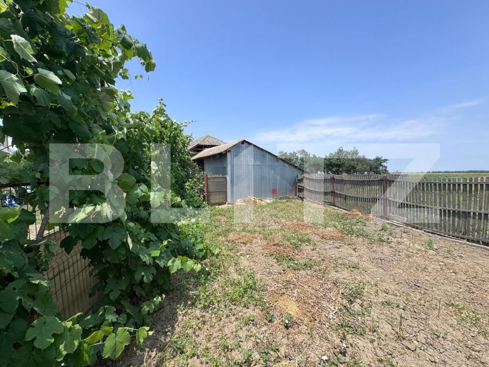 Casa de vânzare 5 camere Exterior Sud - 172778CV | BLITZ Târgoviște | Poza19