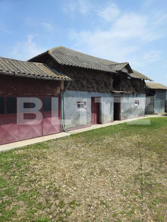 Casa de vânzare 5 camere Exterior Sud - 172778CV | BLITZ Târgoviște | Poza8