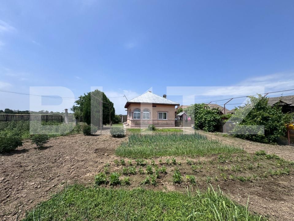 Casa de vânzare 5 camere Exterior Sud - 172778CV | BLITZ Târgoviște | Poza17
