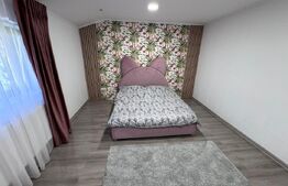 Proprietate rezidențială de Inchiriat, zona Parcul Chindia