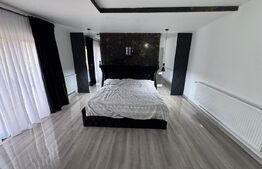 Proprietate rezidențială de Inchiriat, zona Parcul Chindia