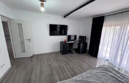 Proprietate rezidențială de Inchiriat, zona Parcul Chindia