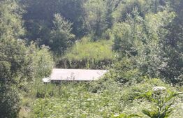 Teren intravilan Gura Vaii