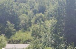 Teren intravilan Gura Vaii