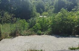 Teren intravilan Gura Vaii