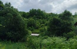 Teren de vânzare Priseaca - 167816TV | BLITZ Târgoviște | Poza5