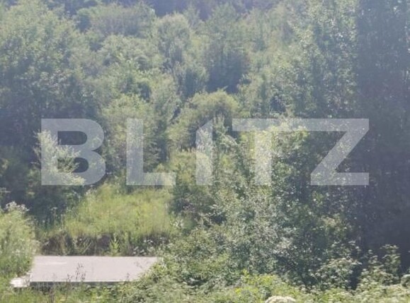 Teren de vânzare Valea Voievozilor - 173138TV | BLITZ Târgoviște | Poza2