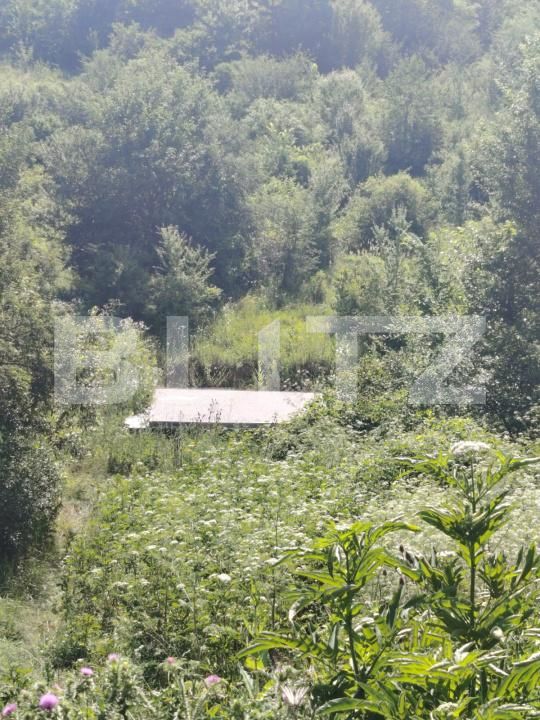 Teren de vânzare Valea Voievozilor - 173138TV | BLITZ Târgoviște | Poza4