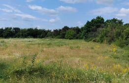 Teren intravilan, de vanzare. 600 mp, zona Priseaca