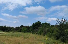 Teren intravilan, de vanzare. 600 mp, zona Priseaca