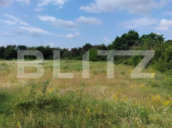 Teren de vânzare Priseaca - 173224TV | BLITZ Târgoviște | Poza3