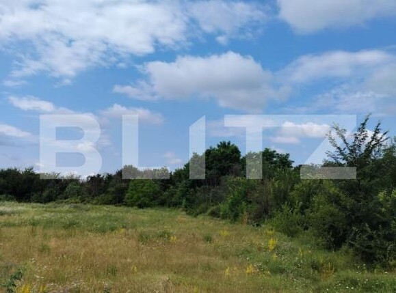 Teren de vânzare Priseaca - 173224TV | BLITZ Târgoviște | Poza1