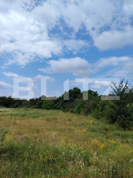 Teren de vânzare Priseaca - 173224TV | BLITZ Târgoviște | Poza1