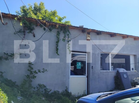Spațiu industrial de închiriat Micro 12 - 173297SII | BLITZ Târgoviște | Poza1