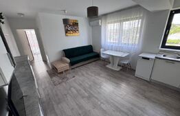 Aparteament de inchiriat, cu 2 camere, 40 mp, zona Class Park 